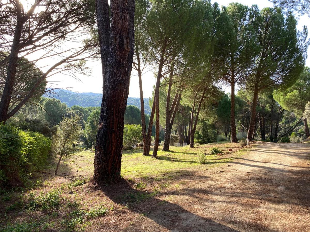 Casa Valdesanmartin - Country House, 10500Sqm, Pool, Paddel & Bbq El Tiemblo Dış mekan fotoğraf